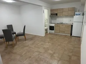 Pronájem bytu 1+1, Praha - Žižkov, Spojovací, 34 m2