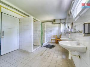 Pronájem výrobních prostor, Nepomuk - Dvorec, 378 m2