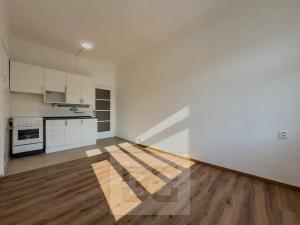 Pronájem bytu 1+1, Praha - Nové Město, Na slupi, 47 m2
