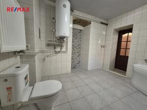 Prodej vícegeneračního domu, Vraný, 199 m2