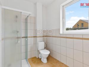 Pronájem rodinného domu, Tachov, 160 m2