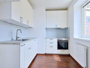 Pronájem bytu 1+kk, Brno, Žabí, 27 m2