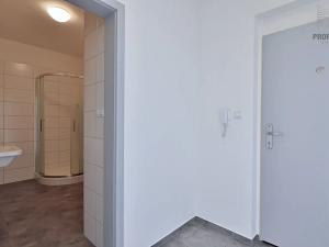 Pronájem bytu 1+kk, Brno, Žabí, 27 m2