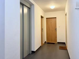 Pronájem bytu 1+kk, Brno, Žabí, 27 m2