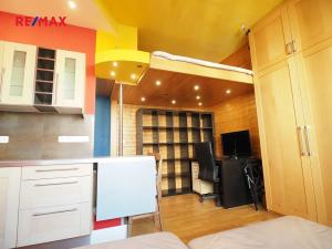 Pronájem bytu 1+kk, Praha - Vinohrady, Hradešínská, 24 m2