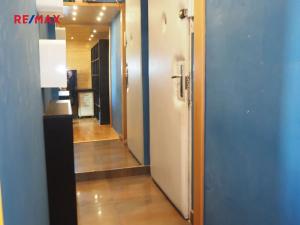 Pronájem bytu 1+kk, Praha - Vinohrady, Hradešínská, 24 m2
