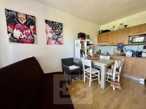 Pronájem bytu 1+kk, Brno, Božetěchova, 25 m2