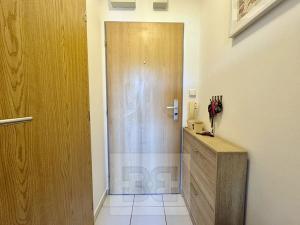 Pronájem bytu 1+kk, Brno, Božetěchova, 25 m2
