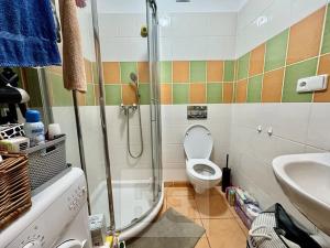 Pronájem bytu 1+kk, Brno, Božetěchova, 25 m2
