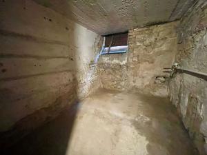 Prodej vícegeneračního domu, Lovosice, Dlouhá, 125 m2