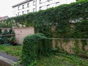 Prodej bytu 3+kk, Praha - Žižkov, Hartigova, 66 m2