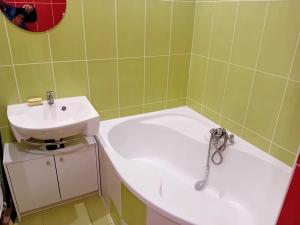 Pronájem bytu 1+kk, Frýdlant, Bělíkova, 37 m2