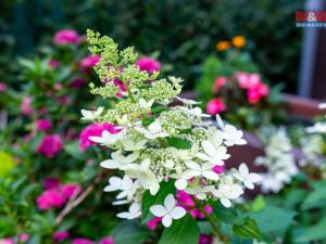 Prodej rodinného domu, Ostrava - Slezská Ostrava, Na Vizině, 120 m2