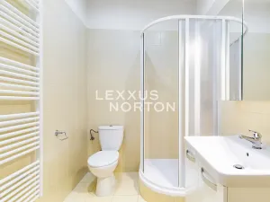 Pronájem bytu 2+kk, Praha - Vinohrady, Belgická, 60 m2