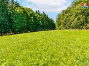 Prodej pozemku pro bydlení, Pec, 7125 m2