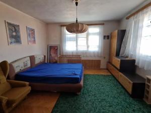 Prodej rodinného domu, Loštice, Nová, 240 m2
