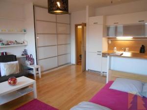 Pronájem bytu 1+kk, Praha - Záběhlice, Na lávce, 37 m2
