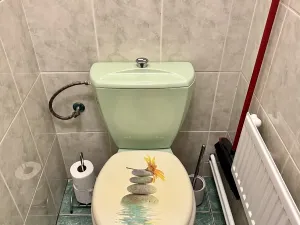 Pronájem bytu 3+1, Vrchlabí, Palackého, 78 m2