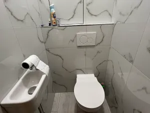 Pronájem bytu 3+1, Brno, Provazníkova, 77 m2
