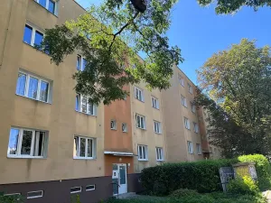 Pronájem bytu 3+1, Brno, Provazníkova, 77 m2