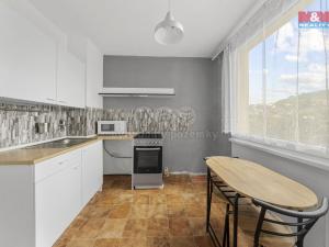 Prodej bytu 2+1, Ústí nad Labem - Severní Terasa, Stavbařů, 62 m2