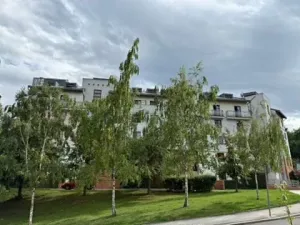 Prodej bytu 3+kk, Praha - Dejvice, Paťanka, 95 m2