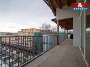 Prodej bytu 4+kk, Ostrava - Moravská Ostrava, Preslova, 306 m2