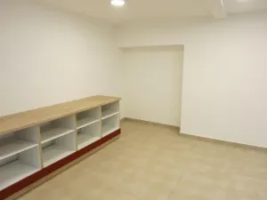 Pronájem bytu 1+1, Samotišky, 42 m2