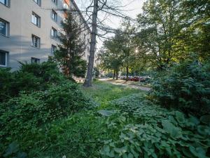 Pronájem bytu 2+1, Praha - Žižkov, Pod lipami, 52 m2