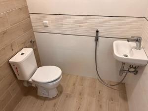 Pronájem bytu 2+1, Prostějov, Netušilova, 85 m2