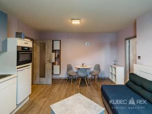 Pronájem bytu 2+kk, Sezimovo Ústí, Pod Kovosvitem, 43 m2
