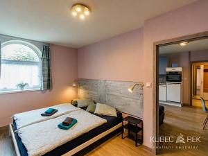 Pronájem bytu 2+kk, Sezimovo Ústí, Pod Kovosvitem, 43 m2