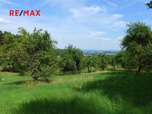Prodej sadu/vinice, Miloňovice, 18431 m2