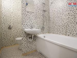 Pronájem bytu 2+kk, Teplice - Nová Ves, Habrová, 43 m2