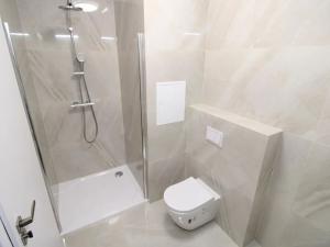 Pronájem bytu 1+kk, Zbiroh, Majerové, 36 m2