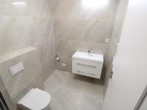 Pronájem bytu 1+kk, Zbiroh, Majerové, 36 m2