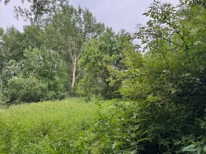 Prodej pozemku, Nezdřev, 8407 m2