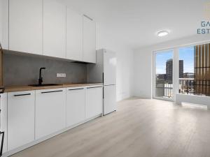 Pronájem bytu 1+kk, Brno, Dornych, 31 m2
