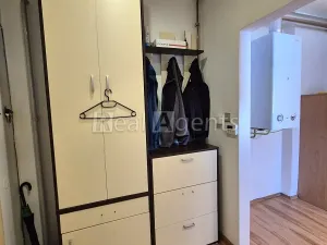 Pronájem bytu 1+1, Nový Jičín, Trlicova, 39 m2