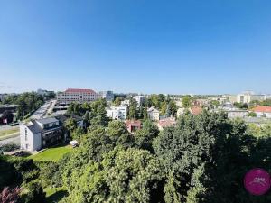 Pronájem bytu 1+1, Olomouc, Foerstrova, 43 m2