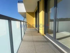 Pronájem bytu 2+kk, České Budějovice, Branišovská, 69 m2