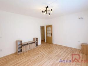 Pronájem bytu 2+1, Ostrov, S. K. Neumanna, 57 m2