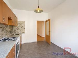 Pronájem bytu 2+1, Ostrov, S. K. Neumanna, 57 m2
