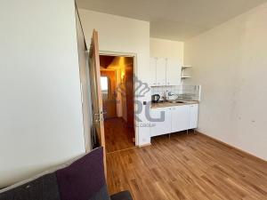 Pronájem bytu 1+kk, Brno - Lesná, Halasovo náměstí, 21 m2