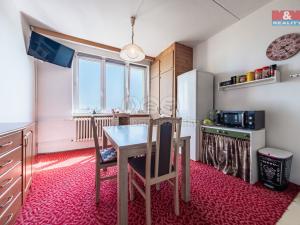 Prodej bytu 1+1, Žatec, Mládežnická, 39 m2