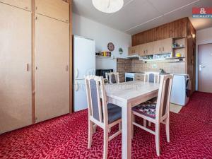 Prodej bytu 1+1, Žatec, Mládežnická, 39 m2