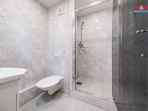 Prodej bytu 1+1, Žatec, Černobýla, 35 m2