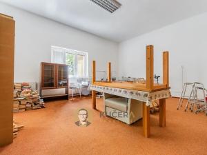 Prodej ubytování, Velká Chmelištná, 550 m2
