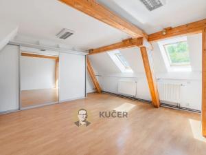 Prodej komerční nemovitosti, Velká Chmelištná, 550 m2
