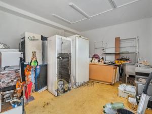 Prodej komerční nemovitosti, Velká Chmelištná, 550 m2